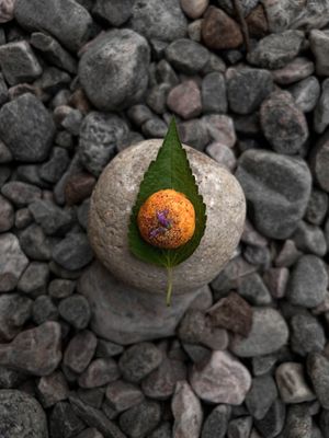 Maison de Soma by null