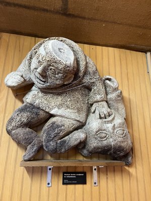 The Whale Museum by null