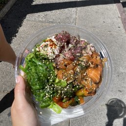 2 choice bowl with half rice half salad - salmon and ahi tuna 2 choice bowl with half rice half salad - salmon and ahi tuna