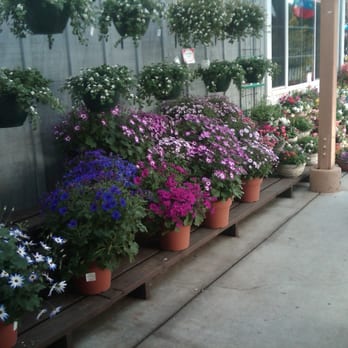 Armstrong Garden Centers - Nurseries & Gardening Near Me - Carlsbad, California Armstrong Garden Centers - Nurseries & Gardening Near Me - Carlsbad, California