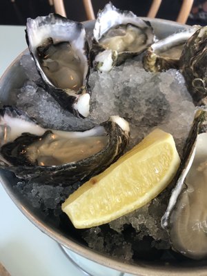 The Oyster Inn by null