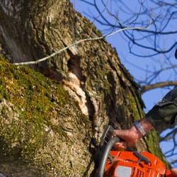 E & R Landscaping & Trees