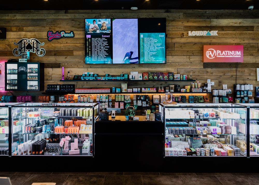 PALM ROYALE COLLECTIVE Updated September 2024 113 Photos & 82