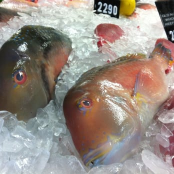 Mooloolaba Fish Market - Reef fish - Fishmonger Near Me - Mooloolaba, QLD Mooloolaba Fish Market - Reef fish - Fishmonger Near Me - Mooloolaba, QLD