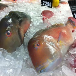 Mooloolaba Fish Market - Reef fish