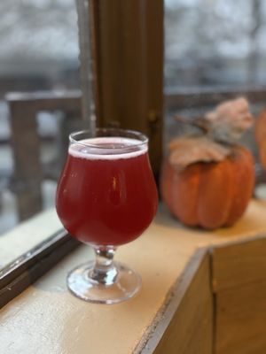 Craft 64 Scottsdale by null