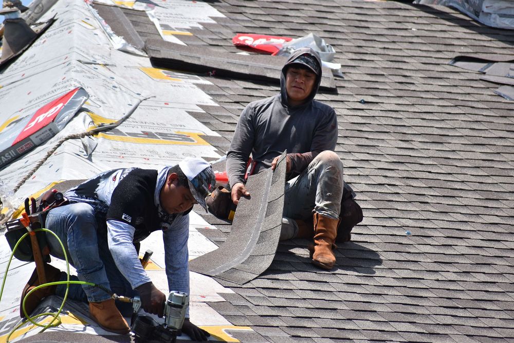 Slide of Greyhound Roofing
