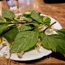 Pho With Us