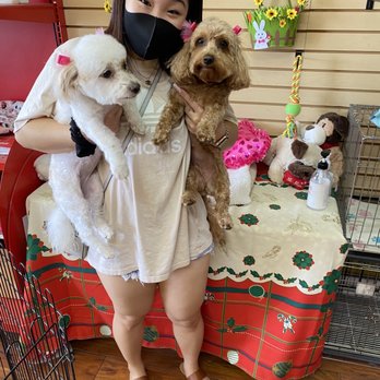 Ooh Puppy - Pet Groomers Near Me - La Mirada, California Ooh Puppy - Pet Groomers Near Me - La Mirada, California