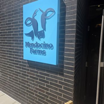 Mendocino Farms - Salad Near Me - Bellevue, Washington