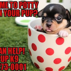 Pup Pup K9 Training & Grooming
