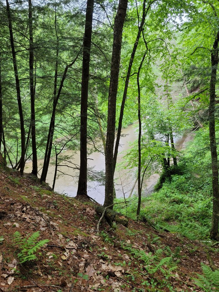 WILDCAT MOUNTAIN STATE PARK Updated August 2024 45 Photos E13660