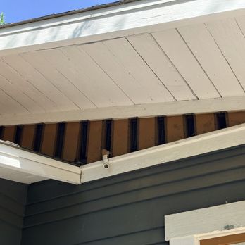 Rodent Free - Pest Control Near Me