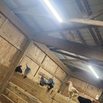 Ringo's Repair Service - Handyman Near Me Ringo's Repair Service - Handyman Near Me
