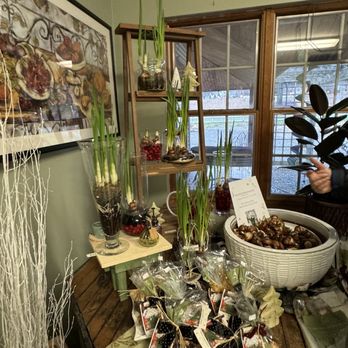 Michaleen's Florist & Greenhouse - bulbs - Nurseries & Gardening Near Me - Ithaca, New York Michaleen's Florist & Greenhouse - bulbs - Nurseries & Gardening Near Me - Ithaca, New York