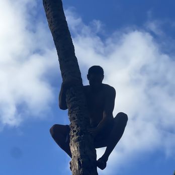Toa Luau - Palm tree climbing - Cultural Center Near Me - Haleiwa, Hawaii Toa Luau - Palm tree climbing - Cultural Center Near Me - Haleiwa, Hawaii