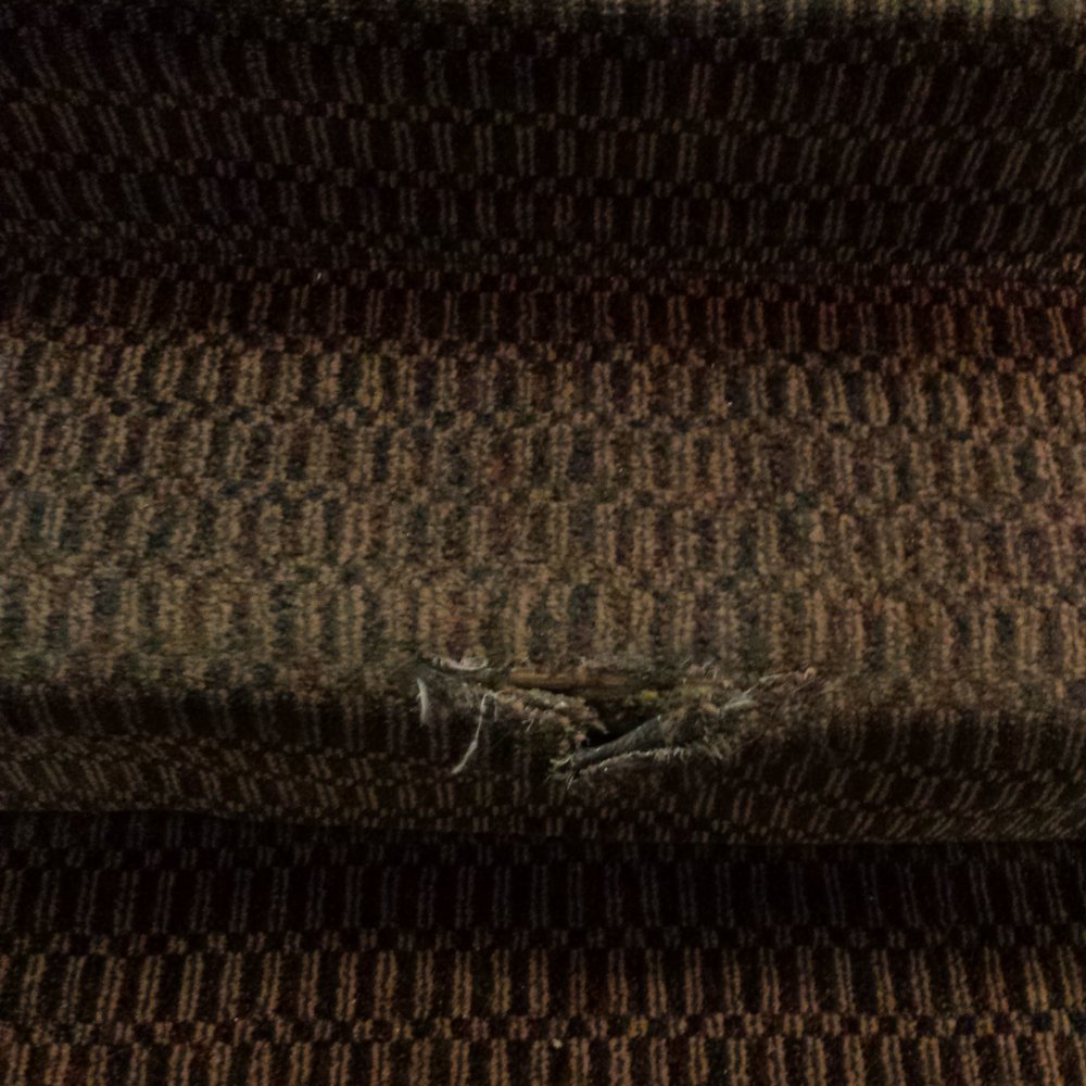 GuestHouse Eugene Springfield - Torn carpet - Hotels Near Me - Springfield, Oregon GuestHouse Eugene Springfield - Torn carpet - Hotels Near Me - Springfield, Oregon