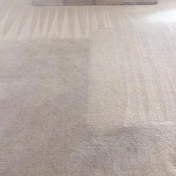 Signature Carpet Care
