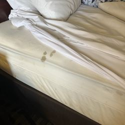 Quality Inn & Suites - This is the bed th manager said there was a clean sheet you could see the stains through the mattress pad and sheets