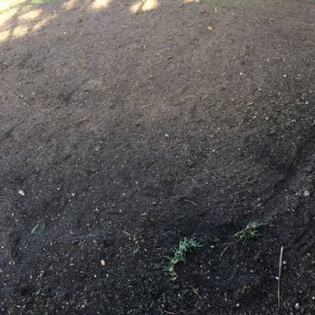 Acosta Tree Service - Tree Services Near Me - Miami, Florida Acosta Tree Service - Tree Services Near Me - Miami, Florida
