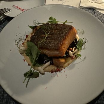 Ocean Reef Club - Salmon with puréed potatoes - Hotels Near Me - Key Largo, Florida Ocean Reef Club - Salmon with puréed potatoes - Hotels Near Me - Key Largo, Florida
