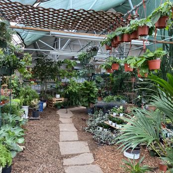Camelot Gardens  - Great selection of indoor plants and outdoor as well! - Nurseries & Gardening Near Me - Montrose, Colorado
