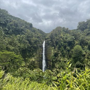 Akaka Falls State Park - Parks Near Me - Honomu, Hawaii
