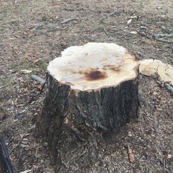 Rockefeller State Park Preserve - I can't seem to think of a caption for this pic. I'm Stumped! - Parks Near Me - Pleasantville, New York Rockefeller State Park Preserve - I can't seem to think of a caption for this pic. I'm Stumped! - Parks Near Me - Pleasantville, New York