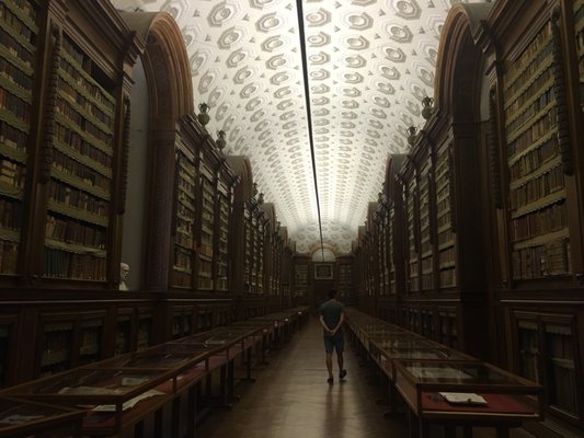 Palatina Library by null