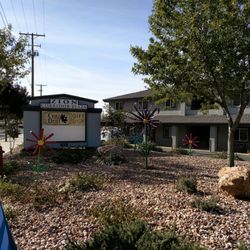 Chez Debi