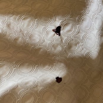 Super 8 by Wyndham - HOLES IN BEDSHEET - Hotels Near Me - California, Maryland