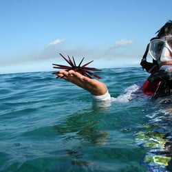 Kelii's Kayak Tours