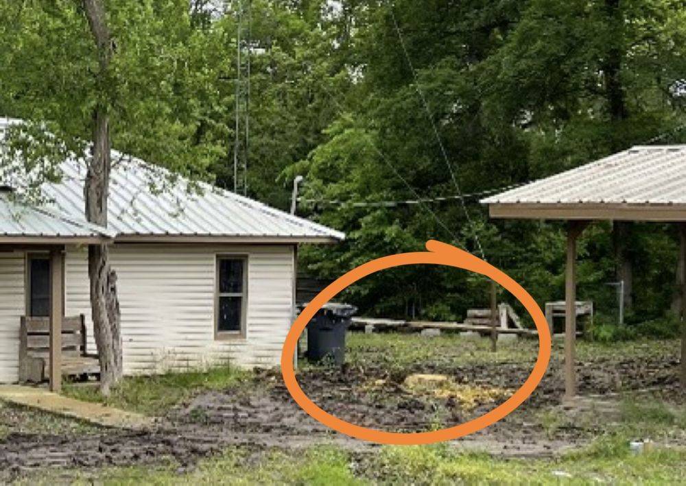 Tree Amigos - tree service in Austin, TX