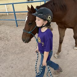 Equine Connections - Bonding & safety