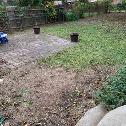 Big patch where there used to be grass Big patch where there used to be grass