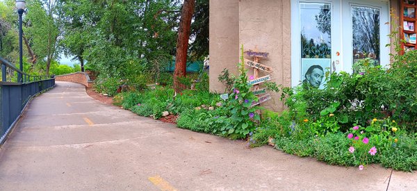 White Rabbit Books & Curiosities by null