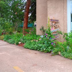 White Rabbit Books & Curiosities - View from the entrance of the bookshop