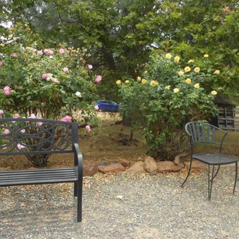 Drytown Cellars - Wineries Near Me - Drytown, California