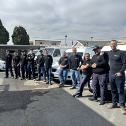 Controlled Elements - The guys
