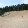 Photo of Nsg Sandgrube im Jagen 86 des Grunewaldes