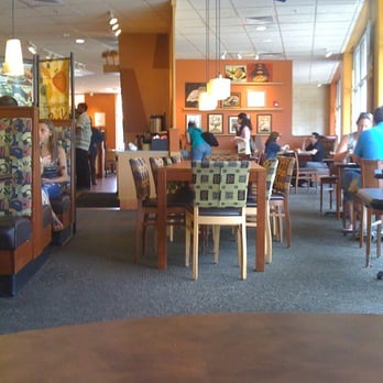 Panera Bread - Sandwiches Near Me - Shelton, Connecticut