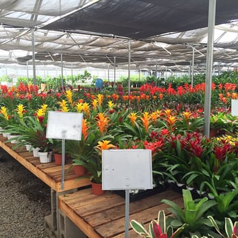 OC Succulents - OC Succulents - Nurseries & Gardening Near Me - Irvine, California