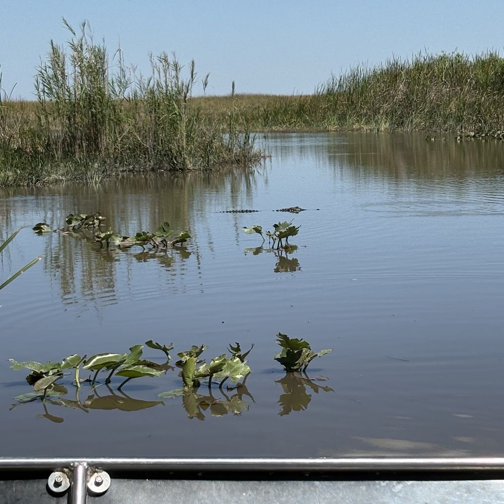 Everglades Airboat Expeditions - Boat Tours Near Me Everglades Airboat Expeditions - Boat Tours Near Me
