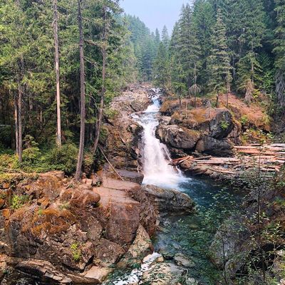 Ohanapecosh Campground by null