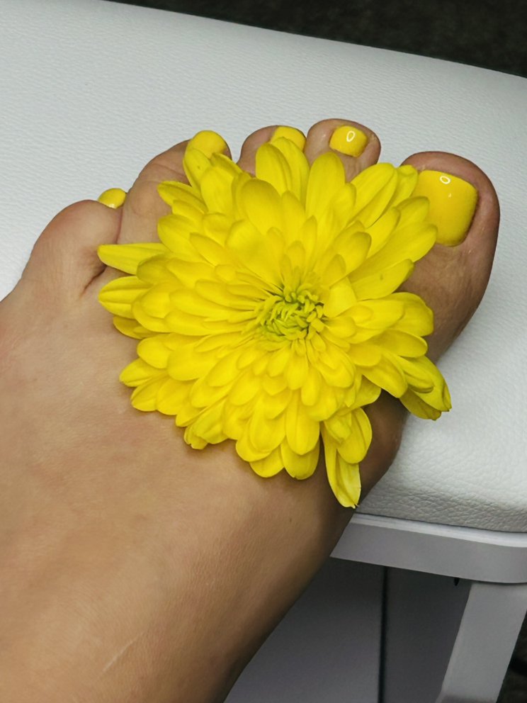 Bossco Beauty Studio