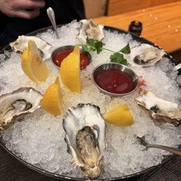 Oysters