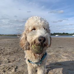 Gerritsen Beach Park