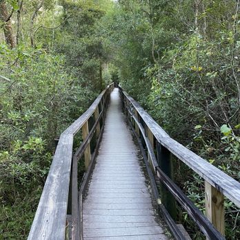 Edward Ball Nature Trail - Walkway - Hiking Near Me - Pensacola, Florida Edward Ball Nature Trail - Walkway - Hiking Near Me - Pensacola, Florida