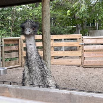 Lincoln Children's Zoo - Amusement Parks Near Me - Lincoln, Nebraska