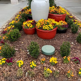Buckle - Planters - Outlet Stores Near Me - Mebane, North Carolina